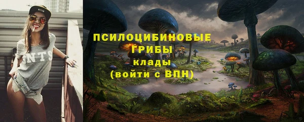 прущие крисы Зерноград